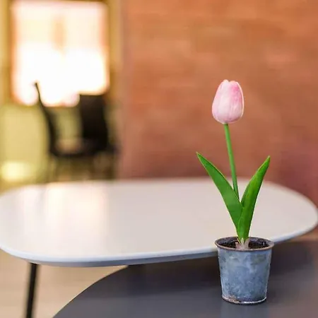 In - Insel Krk 45255 瓦比尼科